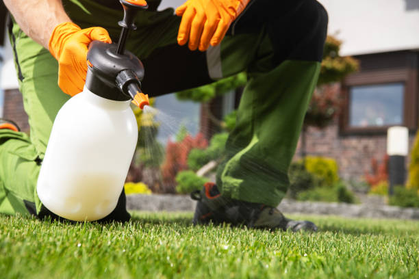 Flea Control Services in Stroud, OK