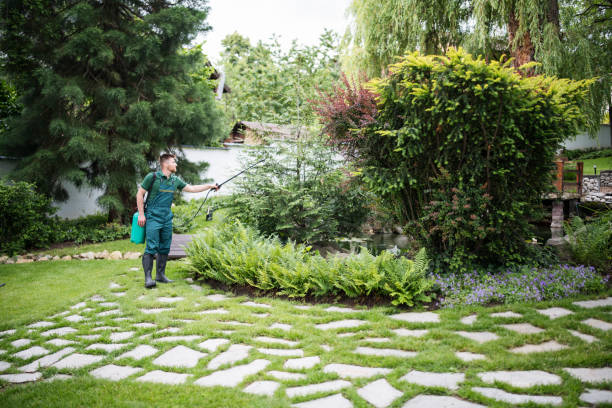 Professional Pest Control in Stroud, OK