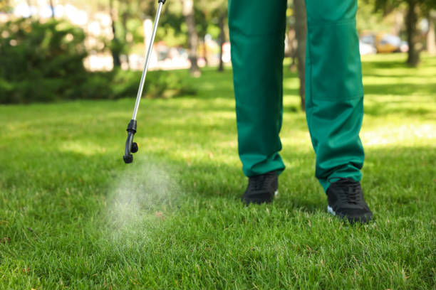 Best Termite Control Services  in Stroud, OK