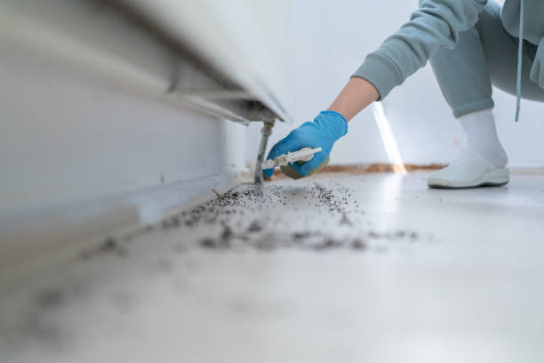 Best Pest Control Near Me  in Stroud, OK